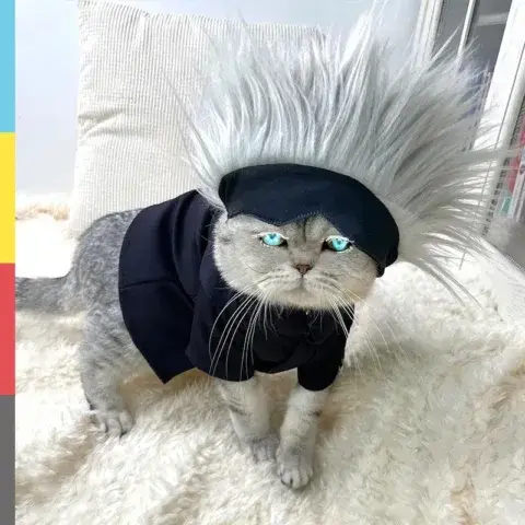 Jujutsu Kaisen Satoru Gojo Pet Cosplay for Cats & Dogs - AnimeGo Store